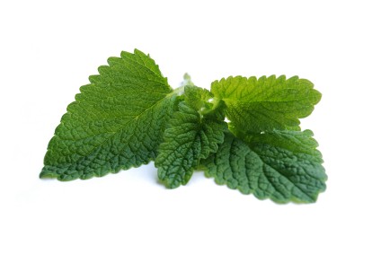 peppermint is used in aromatherapy