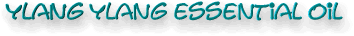 ylang ylang essential oil text image